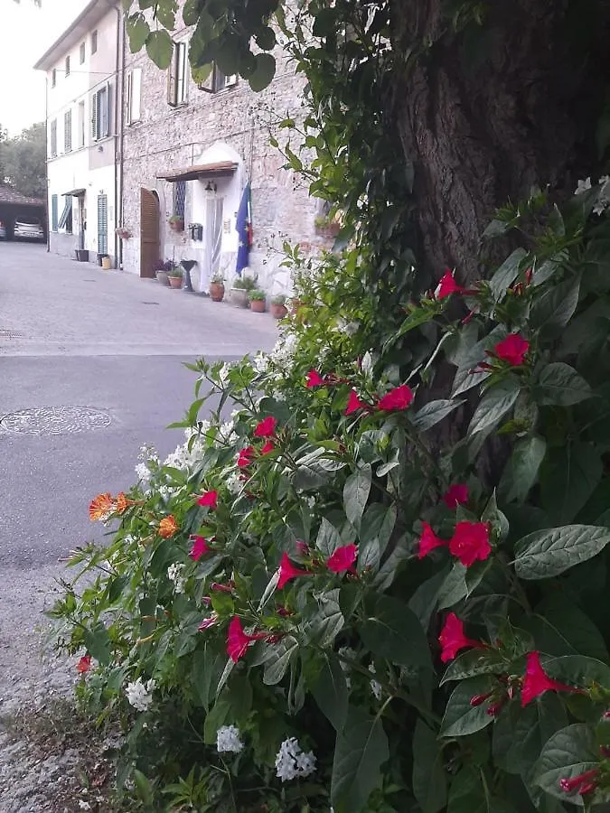 Bed & Breakfast B&B A Casa Mia Pisa Italië
